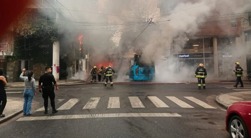 Fuego colectivo 2
