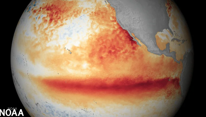 el-nino-smn-mundo