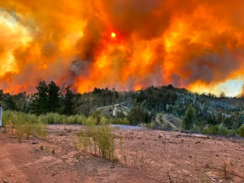 IMG-20260117-WA0039-768x576