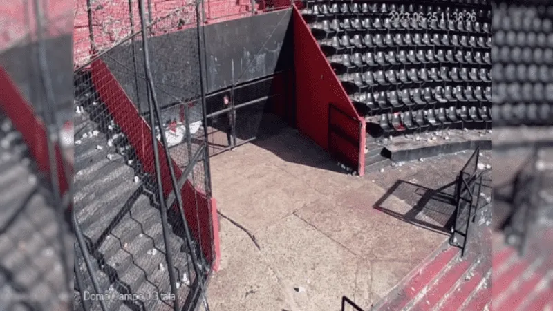 bandera_monos_-_astore.png_1756841869