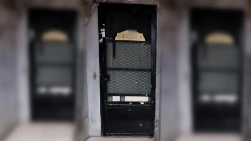 518_6300.jpg_1756841869