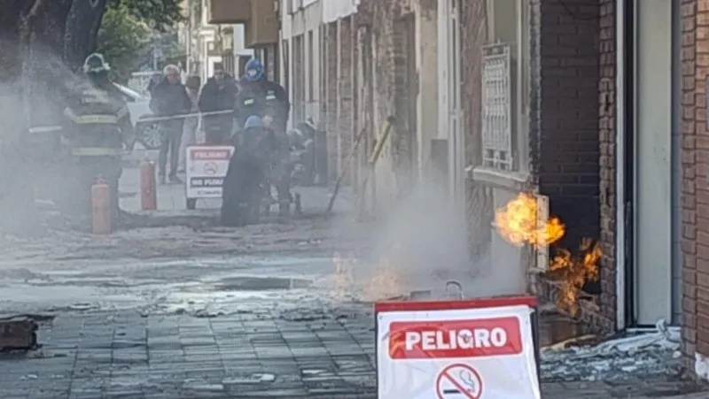 whatsapp_image_2024-07-13_at_10_13_55_crop1720877426605.jpeg_674070907