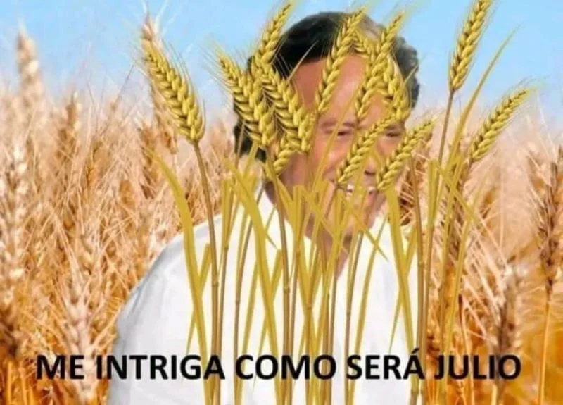 Julio 6